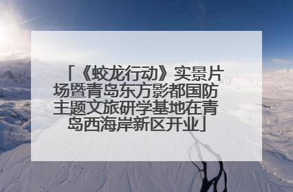 《蛟龙行动》实景片场暨青岛东方影都国防主题文旅研学基地在青岛西海岸新区开业