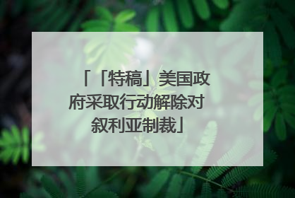 「特稿」美国政府采取行动解除对叙利亚制裁