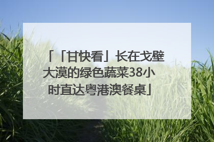 「甘快看」长在戈壁大漠的绿色蔬菜38小时直达粤港澳餐桌