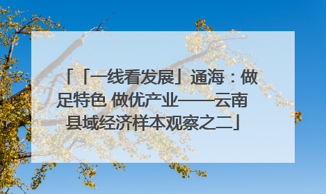 「一线看发展」通海：做足特色 做优产业——云南县域经济样本观察之二