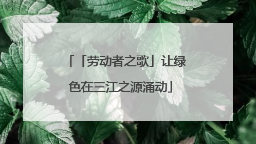 「劳动者之歌」让绿色在三江之源涌动