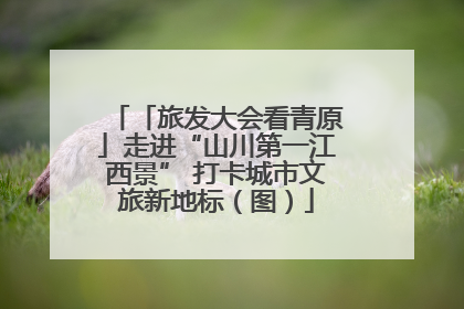 「旅发大会看青原」走进“山川第一江西景” 打卡城市文旅新地标（图）