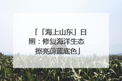 「海上山东」日照：修复海洋生态 擦亮蔚蓝底色