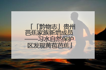 「黔物志」贵州芭蕉家族新增成员——习水自然保护区发现黄苞芭蕉