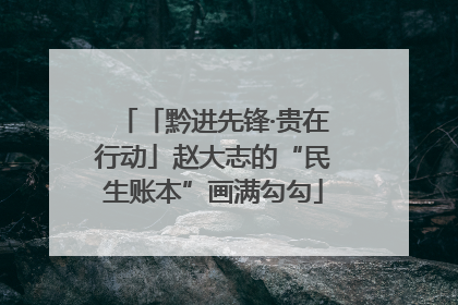 「黔进先锋·贵在行动」赵大志的“民生账本”画满勾勾