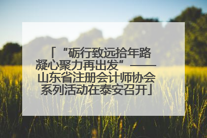“砺行致远拾年路 凝心聚力再出发”——山东省注册会计师协会系列活动在泰安召开