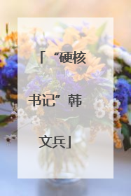 “硬核书记”韩文兵