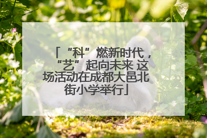 “科”燃新时代，“艺”起向未来 这场活动在成都大邑北街小学举行