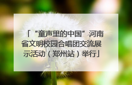 “童声里的中国”河南省文明校园合唱团交流展示活动（郑州站）举行