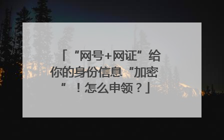 “网号+网证”给你的身份信息“加密”！怎么申领？