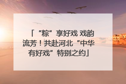 “粽”享好戏 戏韵流芳！共赴河北“中华有好戏”特别之约