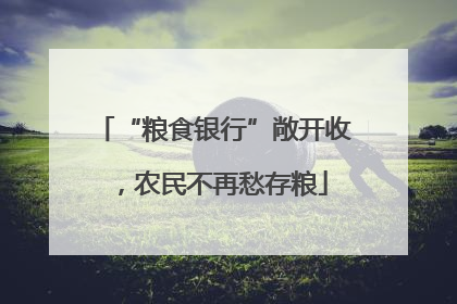 “粮食银行”敞开收，农民不再愁存粮