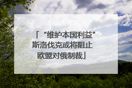 “维护本国利益” 斯洛伐克或将阻止欧盟对俄制裁