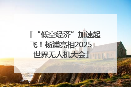 “低空经济”加速起飞！杨浦亮相2025世界无人机大会