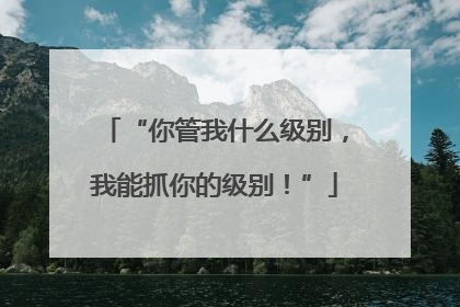 “你管我什么级别，我能抓你的级别！”