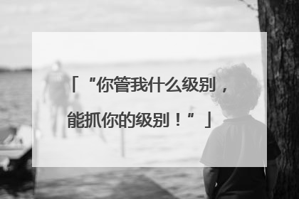 “你管我什么级别，能抓你的级别！”