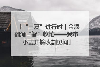 “三夏”进行时｜金浪翻涌“智”收忙——我市小麦开镰收割见闻