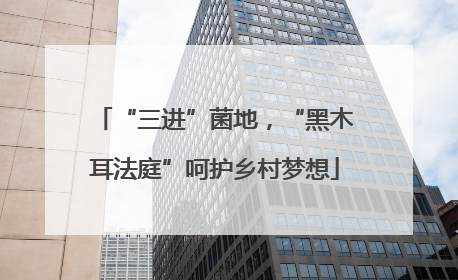 “三进”菌地，“黑木耳法庭”呵护乡村梦想