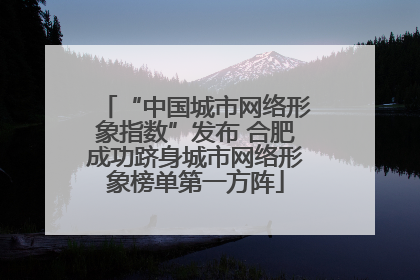 “中国城市网络形象指数”发布 合肥成功跻身城市网络形象榜单第一方阵