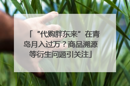 “代购胖东来”在青岛月入过万？商品溯源等衍生问题引关注