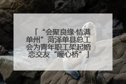 “会聚良缘·情满单州”菏泽单县总工会为青年职工架起婚恋交友“暖心桥”