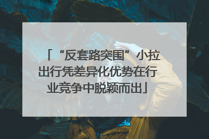 “反套路突围”小拉出行凭差异化优势在行业竞争中脱颖而出