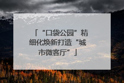 “口袋公园”精细化焕新打造“城市微客厅”