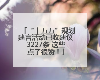 “十五五”规划建言活动已收建议3227条 这些点子很赞！