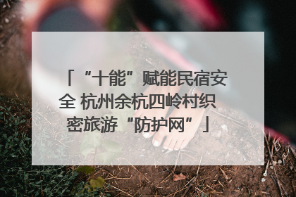 “十能”赋能民宿安全 杭州余杭四岭村织密旅游“防护网”