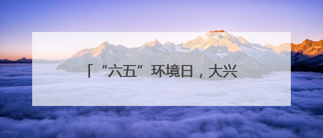 “六五”环境日，大兴廊坊携手共赴生态之约