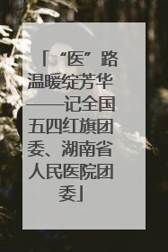 “医”路温暖绽芳华——记全国五四红旗团委、湖南省人民医院团委