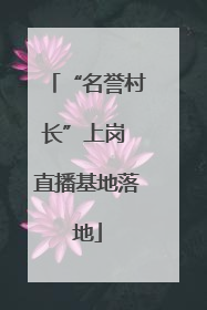 “名誉村长”上岗 直播基地落地