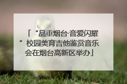 “品重烟台·音爱闪耀”校园美育吉他鉴赏音乐会在烟台高新区举办