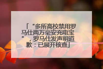 “多所高校禁用罗马仕两万毫安充电宝”，罗马仕发声明道歉：已展开核查