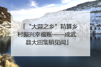 “大蒜之乡”精算乡村振兴幸福账——成武县大田集镇见闻