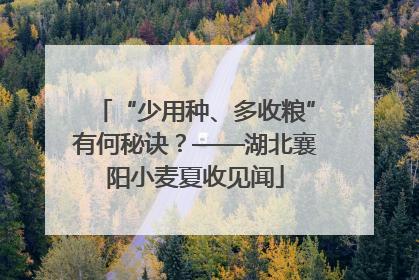 “少用种、多收粮”有何秘诀？——湖北襄阳小麦夏收见闻