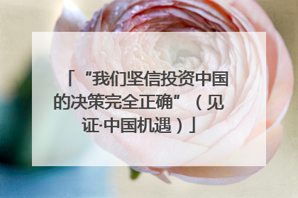 “我们坚信投资中国的决策完全正确”（见证·中国机遇）