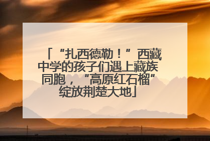 “扎西德勒！”西藏中学的孩子们遇上藏族同胞，“高原红石榴”绽放荆楚大地