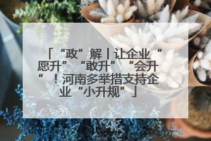 “政”解丨让企业“愿升”“敢升”“会升”！河南多举措支持企业“小升规”