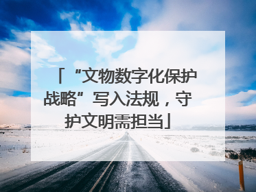 “文物数字化保护战略”写入法规，守护文明需担当