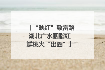 “映红”致富路 湖北广水胭脂红鲜桃火“出圈”