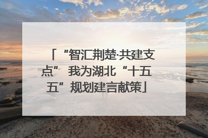 “智汇荆楚·共建支点” 我为湖北“十五五”规划建言献策