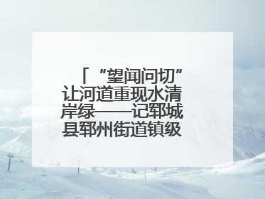 “望闻问切”让河道重现水清岸绿——记郓城县郓州街道镇级河长孟泓辰