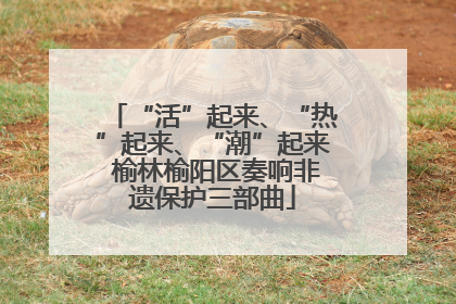 “活”起来、“热”起来、“潮”起来 榆林榆阳区奏响非遗保护三部曲