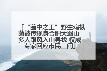 “菌中之王”野生鸡枞菌被传现身合肥大蜀山 多人跟风入山寻找 权威专家回应市民三问