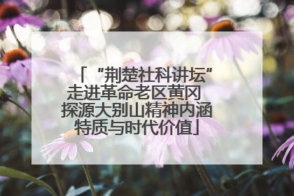 “荆楚社科讲坛”走进革命老区黄冈 探源大别山精神内涵特质与时代价值