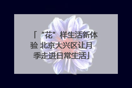“花”样生活新体验 北京大兴区让月季走进日常生活