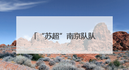 “苏超”南京队队徽是怎么来的？收藏家王世清细说源头