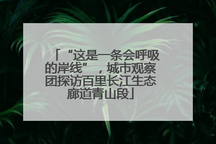 “这是一条会呼吸的岸线”，城市观察团探访百里长江生态廊道青山段