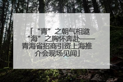 “青”之朝气相邀 “海”之胸怀奔赴——青海省招商引资上海推介会现场见闻